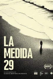 La medida 29