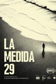 La medida 29