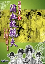 Fei tou gongzhu dixue jiu qinfu