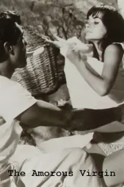 Vergine per un bastardo