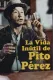 La vida inútil de Pito Pérez