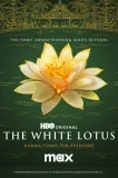 The White Lotus - Additional Photography