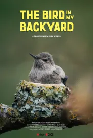 Můj soused kolibřík