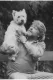 Norman Garwood