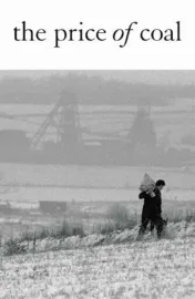 The Price of Coal, Part 2: Back to Reality