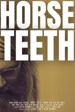 Horse Teeth