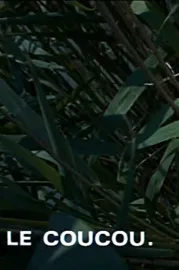 Le coucou