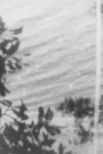 Point Chevalier Beach