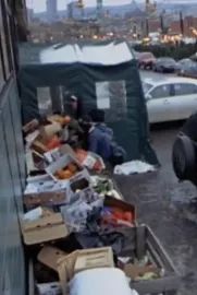 Surfing the Waste: a Musical Documentary about Dumpster Diving