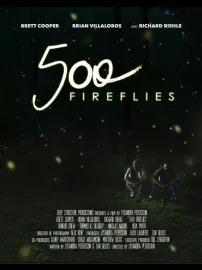 500 Fireflies