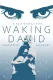 Waking David