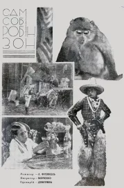 Сам собі Робінзон