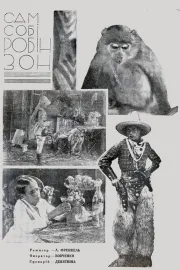 Сам собі Робінзон