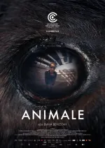Animale