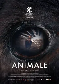 Animale