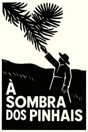 À sombra dos pinhais