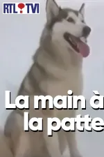La main à la patte