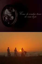 Como la sombra tenue de una hoja