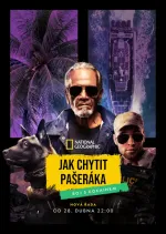 Jak chytit pašeráka: Boj s kokainem