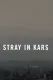 Stray in Kars