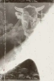 L'Ancien et le Nouveau