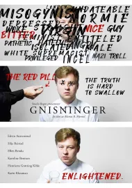 Gnisninger