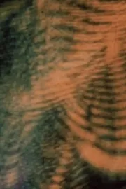 A Laser Images Demonstration