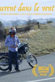 Laurent dans le vent