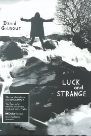 David Gilmour - Luck And Strange