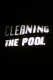 Cleaning The Pool
