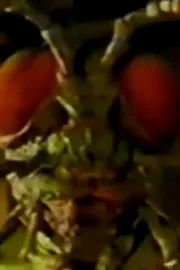 Ghosts Of Fear Street - Return Of The Bugman