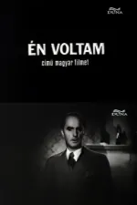 Én voltam!