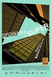 Regular or Super: Views on Mies van der Rohe