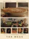 The Mess