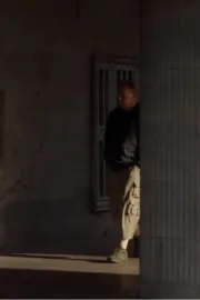 The Perfect Spectator