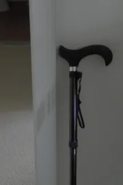 From This Day Forward