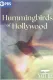 Hummingbirds of Hollywood