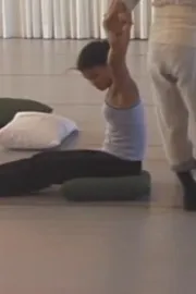 After Many a Summer Dies the Swan: Hybrid