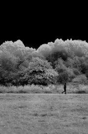 The Grey Between (A Lockdown Time Capsule)