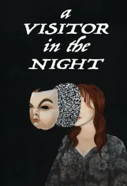 A Visitor in the Night