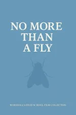 NO MORE THAN A FLY