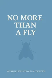 NO MORE THAN A FLY