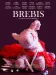 Brebis