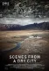 Scenes from a Dry City