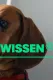 W wie Wissen