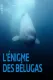 L'énigme Des Belugas