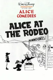 Alice at the Rodeo