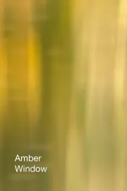 Amber Window