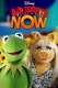 Muppets Now