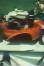 Torro. Torro. Torro!